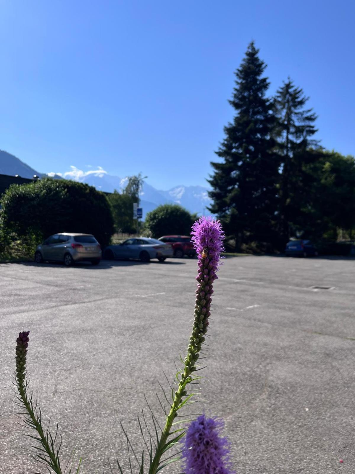 Ibis Sallanches Porte Du Montblanc Hotel Eksteriør billede